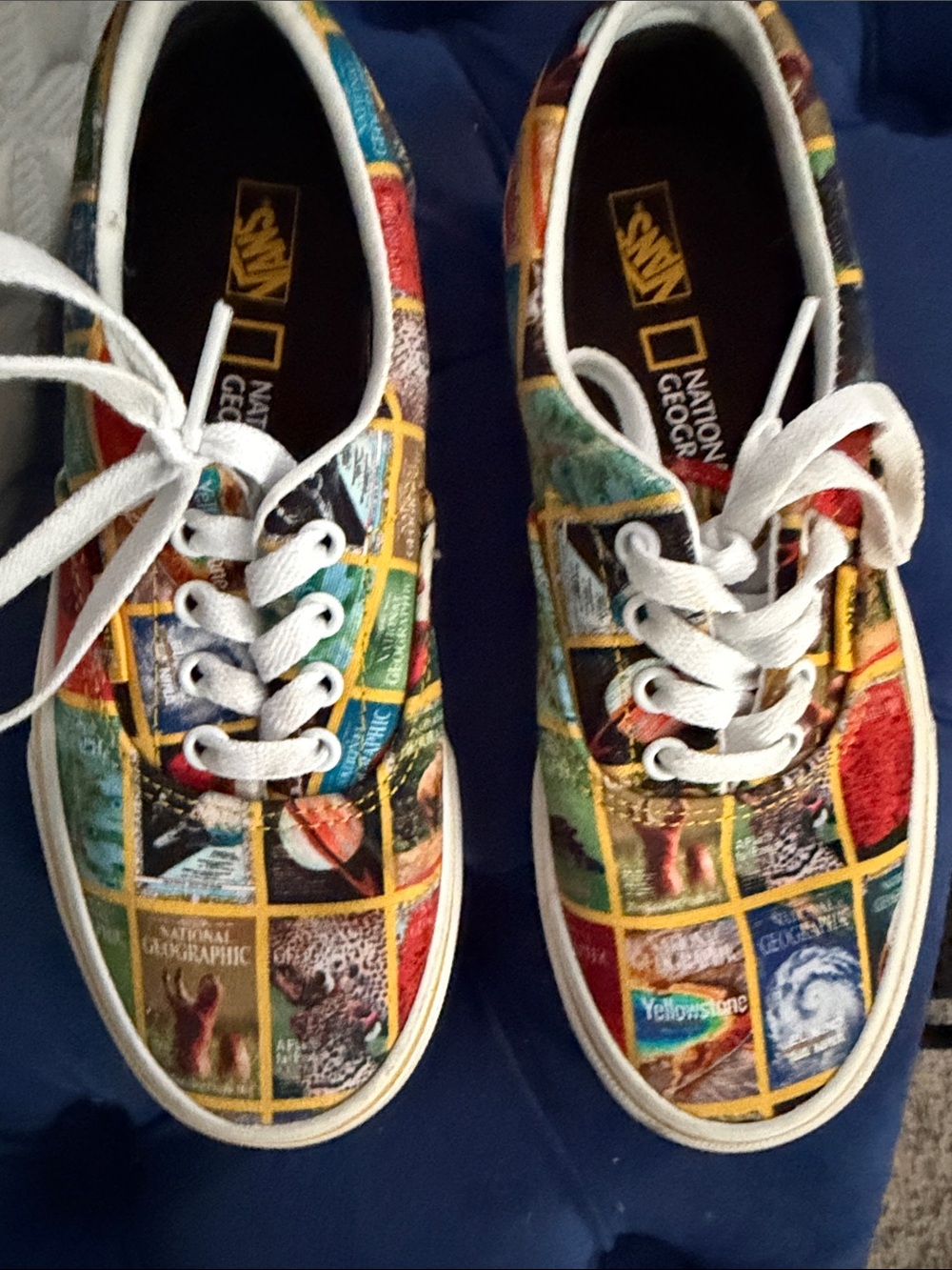 Vans Kids Multi-Color National Geographic Print Canvas Sneakers